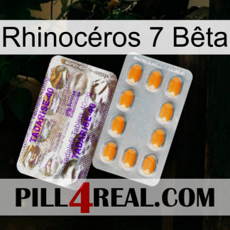 Rhinocéros 7 Bêta new12